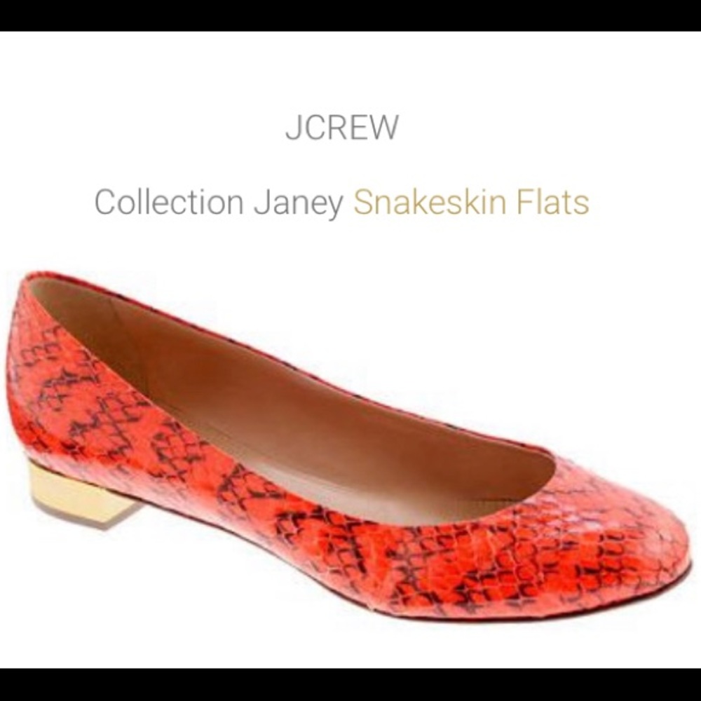 J. Crew Collection Orange Snakeskin Janey Flat